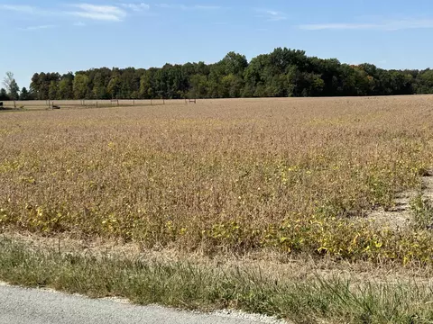 0 Wabash Rd, Coldwater, OH 45828 photo 5