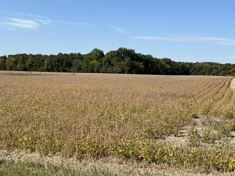 0 Wabash Rd, Coldwater, OH 45828 photo 3