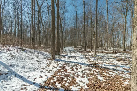 0 County Road 58, De Graff, OH 43318 photo 24