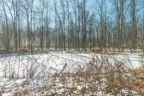 0 County Road 58, De Graff, OH 43318 photo 17