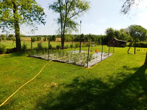 10100 Thompson Schiff Rd, Sidney, OH 45365 photo 46