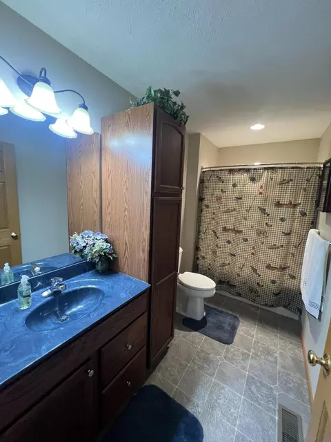 Bath - 11375 Schenk Rd, Sidney, OH 45365 photo 7 of 8