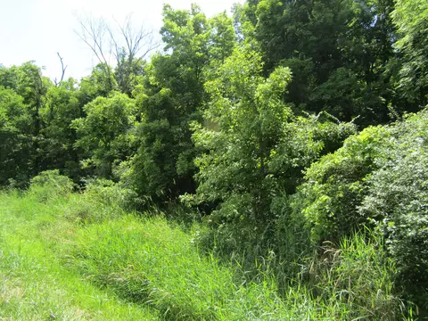 4574 Township Rd 273, Bellefontaine, OH 43311