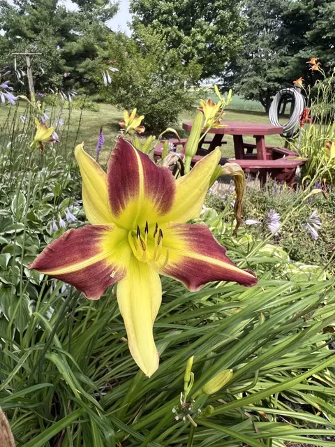 Other - 7885 N Ludlow Rd, Cable, OH 43009 photo 9 of 12