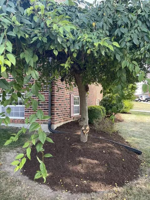 Exterior - 4438 Tacoma St, Springfield, OH 45503 photo 7 of 16