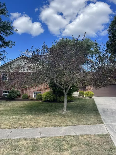 Exterior - 4438 Tacoma St, Springfield, OH 45503 photo 6 of 16