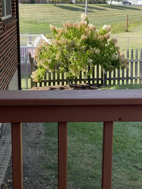 Exterior - 4438 Tacoma St, Springfield, OH 45503 photo 11 of 16