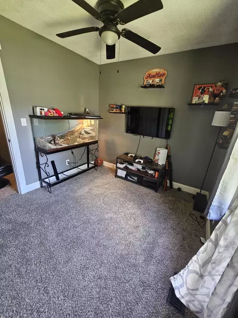 Other - 407 Smith Ave, Kenton, OH 43326 photo 5 of 7