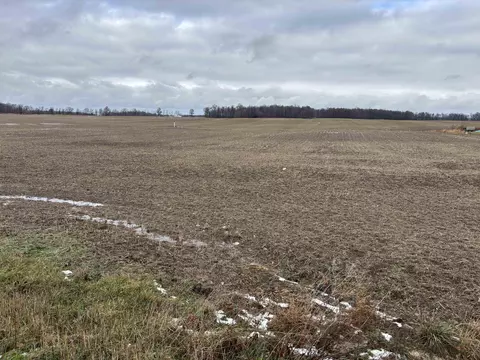 15031 State Route 119, Anna, OH 45302 photo 6