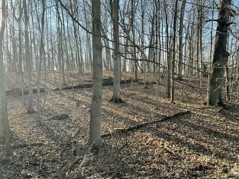 0 Burrwood Dr, Springfield, OH 45503