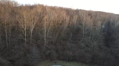 Other - 4050 River Rd, Sidney, OH 45365 photo 30 of 38