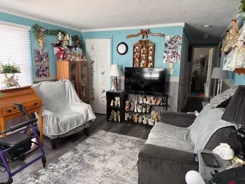 Living - 718 Ronan St, Sidney, OH 45365 photo 1 of 2