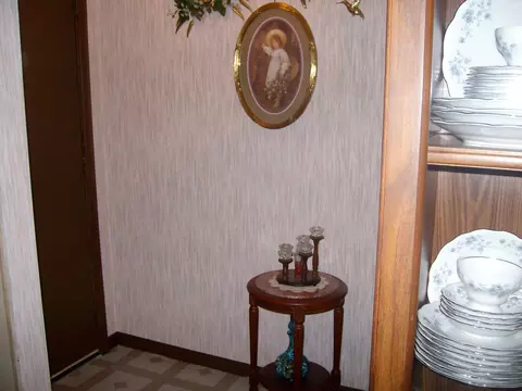Entry Way - 1316 Michael Ave, Celina, OH 45822 photo 1 of 1