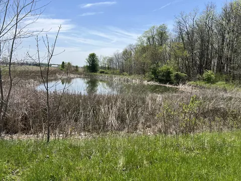 View/Area - 17300 Lock Two Rd, Botkins, OH 45306 photo 4 of 5