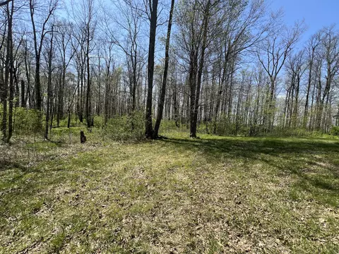 Exterior - 17300 Lock Two Rd, Botkins, OH 45306 photo 11 of 13