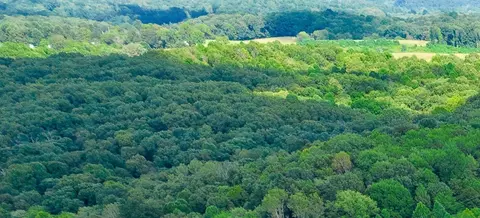 0 Derry Lane Rd, Wilkesville Township, OH 45695