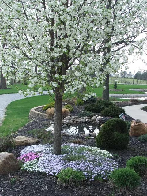 Exterior - 10770 Scott Rd, Sidney, OH 45365 photo 9 of 13