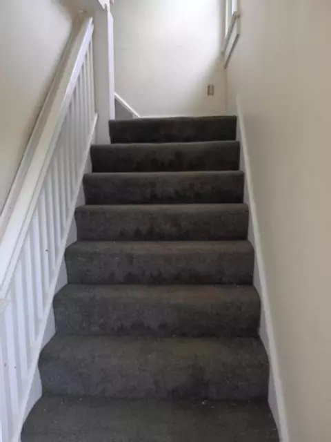 Entry Way - 306-308 E Northern Ave, Springfield, OH 45503 photo 1 of 2