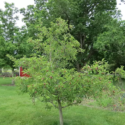 Other - 10900 Scott Rd, Sidney, OH 45365 photo 12 of 13