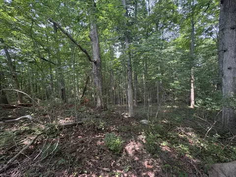 0 Licklider Rd, Conover, OH 45317 photo 3
