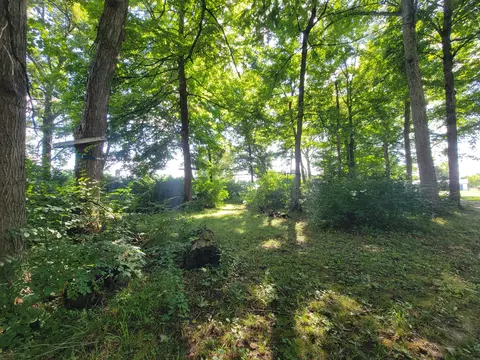 Exterior - 2910 Fowler Rd, Springfield, OH 45502 photo 4 of 10