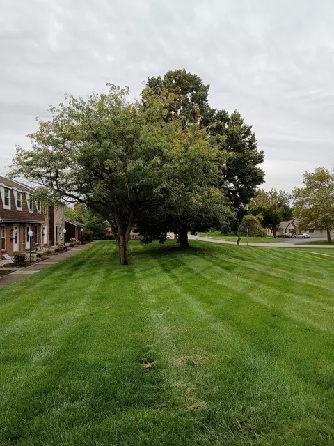 Exterior - 113 Freedom Ct, Sidney, OH 45365 photo 5 of 6