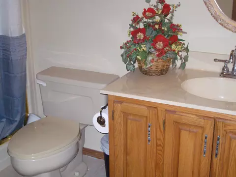 Bath - 328 Johnson Ave, Celina, OH 45822 photo 7 of 7