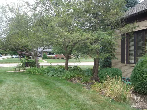 Exterior - 328 Johnson Ave, Celina, OH 45822 photo 10 of 11