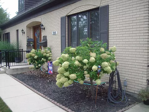 Exterior - 328 Johnson Ave, Celina, OH 45822 photo 11 of 11