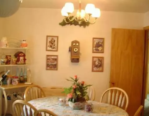 125 Leona St, Celina, OH 45822 photo 8