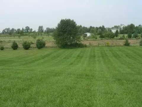 5927 Morris Rd, Springfield, OH 45502 photo 6