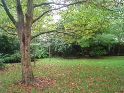 3305 Revels St, Springfield, OH 45503 photo 8