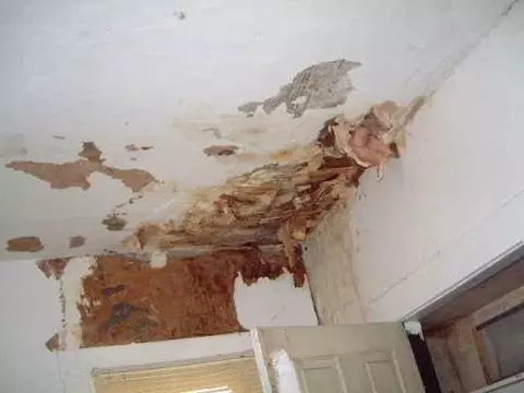 1085 Kenton, Springfield, OH 45505 photo 7