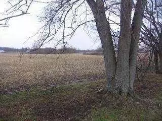 3663 S Tecumseh, Springfield, OH 45502 photo 7