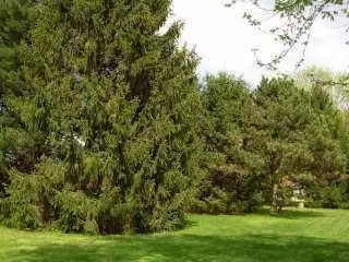 1589 Groop, Springfield, OH 45504 photo 7