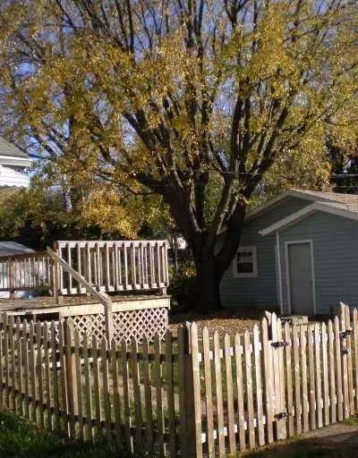 1435 Broadway St, Springfield, OH 45504 photo 3