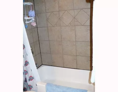247 West, Springfield, OH 45504 photo 10
