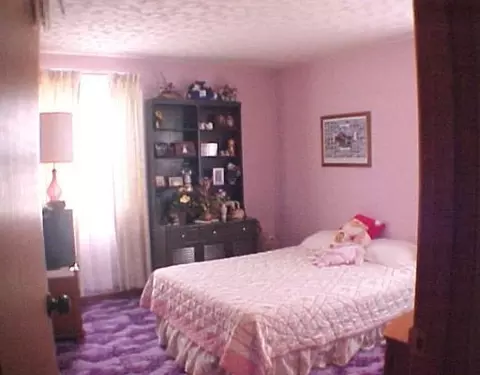 6286 S Tecumseh Rd, Springfield, OH 45502 photo 8