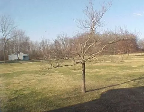 6286 S Tecumseh Rd, Springfield, OH 45502 photo 9