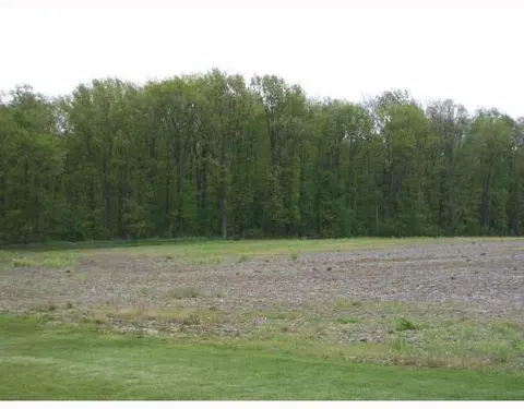 4655 St Anthony, Coldwater, OH 45882 photo 6