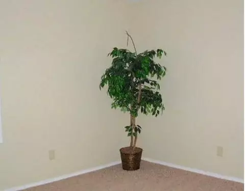 2008 Gridley, Springfield, OH 45505 photo 12