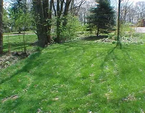 2416 Lindair Dr, Springfield, OH 45502 photo 3