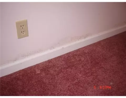 2819 E St Rte 245, Cable, OH 43009 photo 12