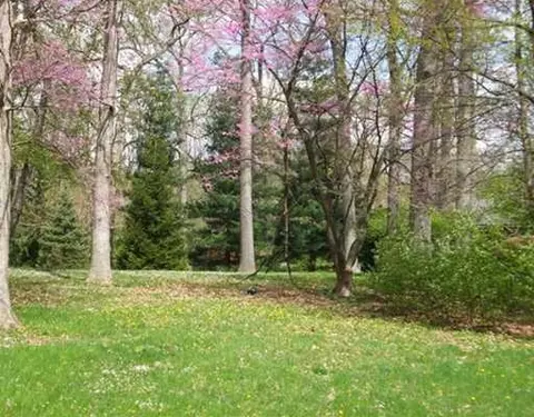 224 Titus Rd, Springfield, OH 45505 photo 12