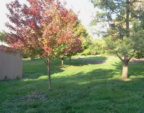 3816 Gordon Hl, Springfield, OH 45502 photo 8