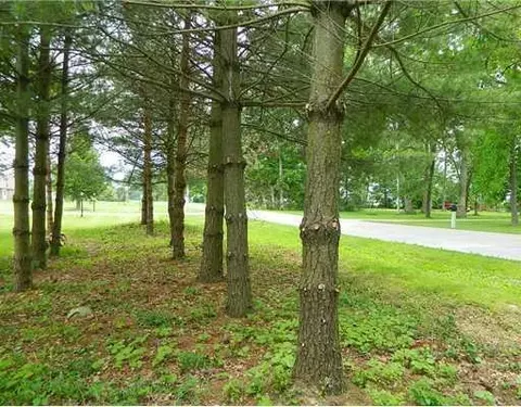 3220 Rocky Point Rd, Springfield, OH 45502 photo 24