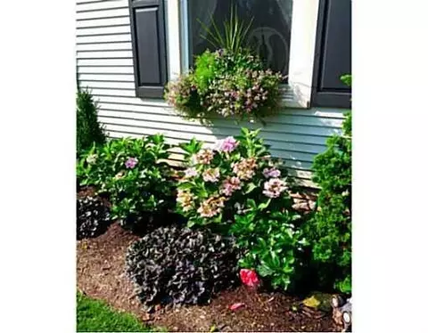 1008 E Franklin St, Troy, OH 45373 photo 3