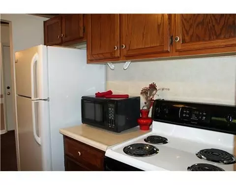 546 Piney Br, Springfield, OH 45503 photo 6
