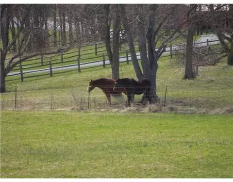 8590 W Klinger Rd, Covington, OH 45318 photo 22