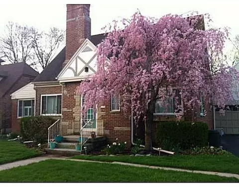 133 N Broadmoor Blvd, Springfield, OH 45504 photo 1